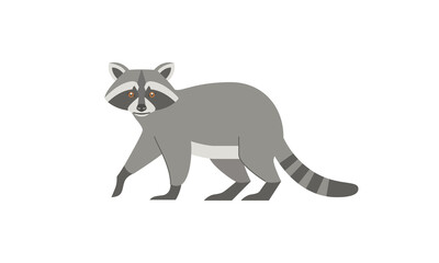 North American native animal Raccoon (Procyon lotor) side angle view, flat style vector illustration isolated on white background