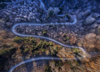 Obraz premium Chemin vu d'en-haut avec une partie givrée et une partie dégivrée par le soleil au levé de celui-ci