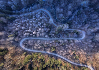 Chemin vu d'en-haut avec une partie givrée et une partie dégivrée par le soleil au levé de...