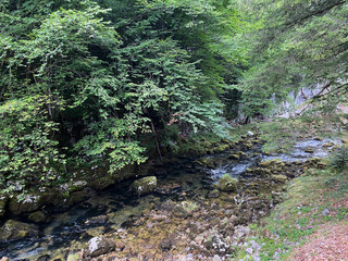 Protected landscape canyon of the river Kamacnik in Gorski kotar - Vrbovsko, Croatia (Zaštićeni krajolik kanjon rječice Kamačnik u Gorskom kotaru - Vrbovsko, Hrvatska)