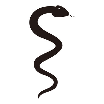 snake icon vector illustration sign