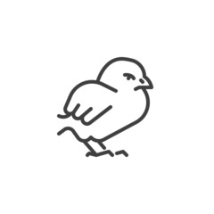 Chick bird line icon