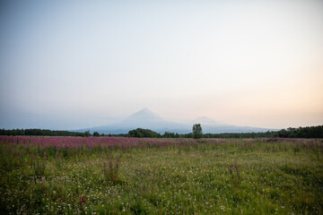 The active Kamchatka Volcano Klyuchevskaya Sopka at dawn