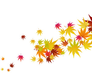 Fototapeta na wymiar Maple Autumn Banner
