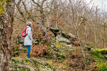 Naklejka premium Suche nach der schalen Wintersonne auf dem Kammpfad zwischen Lahn- und Gelbachtal im Westerwald