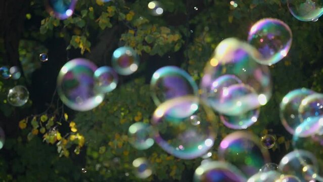 Slow-motion shot of colorful soap bubbles shining in the sun with dark green trees in the background