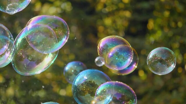 Slow-motion shot of colorful soap bubbles slowly traveling in the frame with autumn park background