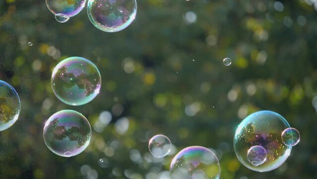 Slow-motion shot of shining soap bubbles slowly ascending in the park