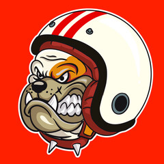 ilustrationbulldog  with red beground