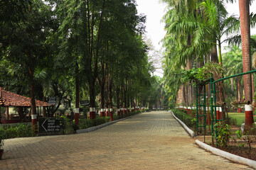 Waghai-Saputara, Gujarat- India Path way of Botanical Garden. Beautiful Botanical Garden of Gujarat India