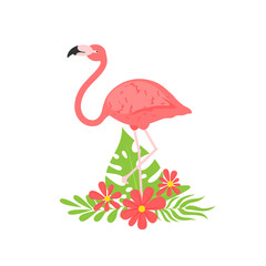 Vector illustration of a pink flamingo. Flamingo African tropical beauty of exotic animals. Sleek design simple. Isolated pink flamingo in flowers composition