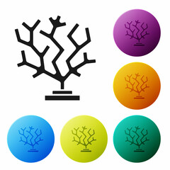 Black Coral icon isolated on white background. Set icons in color circle buttons. Vector