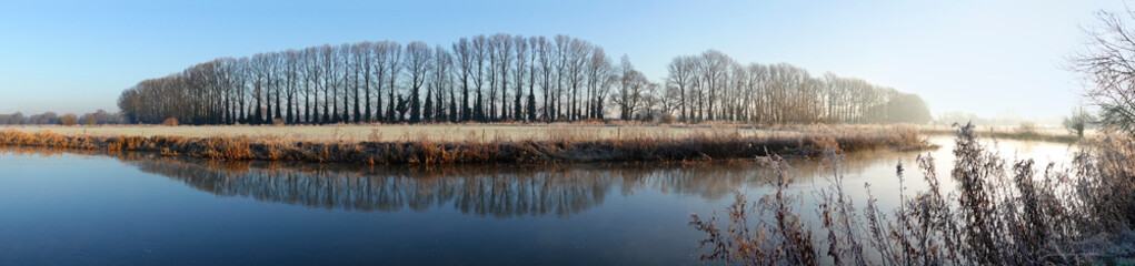 Obraz premium Line of bare winter trees along the River Thames on frosty winter morning, Lechlade, Cotswolds, Gloucestershire, England, United Kingdom, Europe