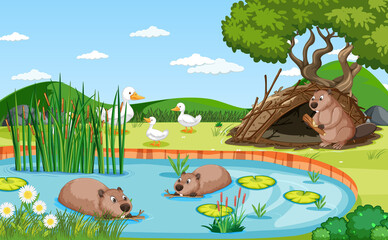 Pond in the forest background with beaver family and ducks - obrazy, fototapety, plakaty