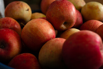 red apples 