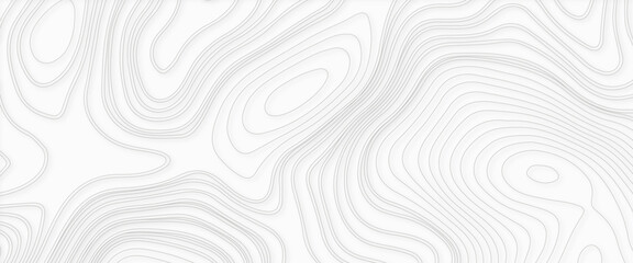 Topography relief, Vector contour topographic map background, vector illustration of topographic line contour map, Outline cartography landscape. Modern poster design. Trendy cover with wavy lines.