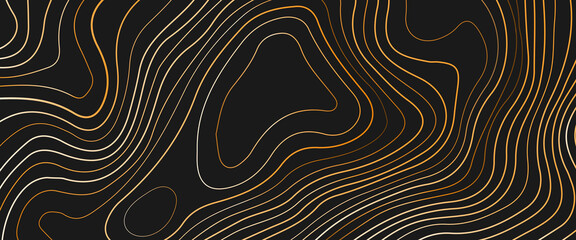 Topography relief, Vector illustration of heights map topographic backdrop, Background of the topographic map. Topographic map lines, contour background. wood grain texture. Dense lines. 