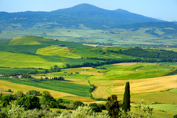 Obraz premium Stunning view of green fields and farmlands with small villages on the horizon. Rural landscape of rolling hills, curved roads and cypresses of Tuscany, Italy.