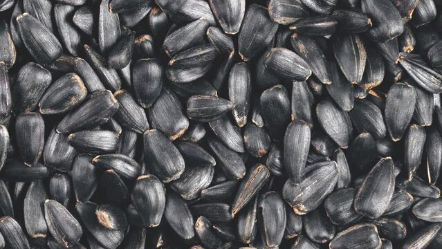 Rotation of a pile of black sunflower seeds. View from above. 