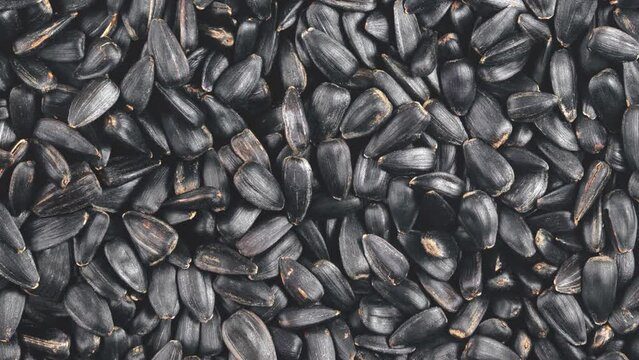 Movement of pile of black sunflower seeds. View from above.