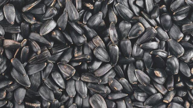 Movement of pile of black sunflower seeds. View from above.