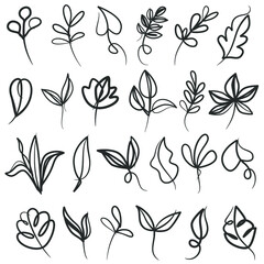Set of botanical line art floral leaves, plants