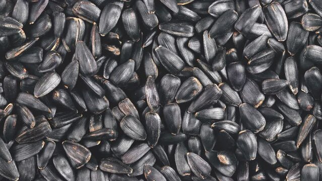 Movement of pile of black sunflower seeds. View from above.