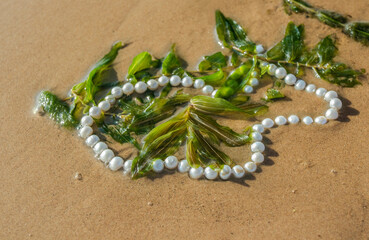 Pearl beads and algae lie on the sand in the water of the bay