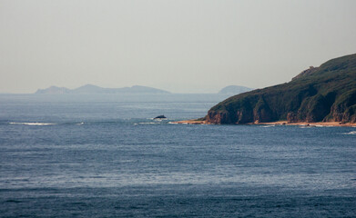 sea and rocks