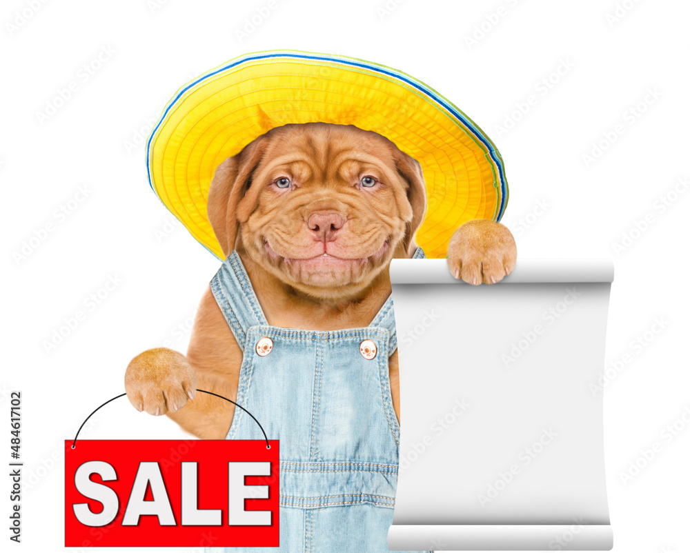 Poster smiling puppy farmer wearing summer hat and overalls holds sales symbol and empty list. isolated on 