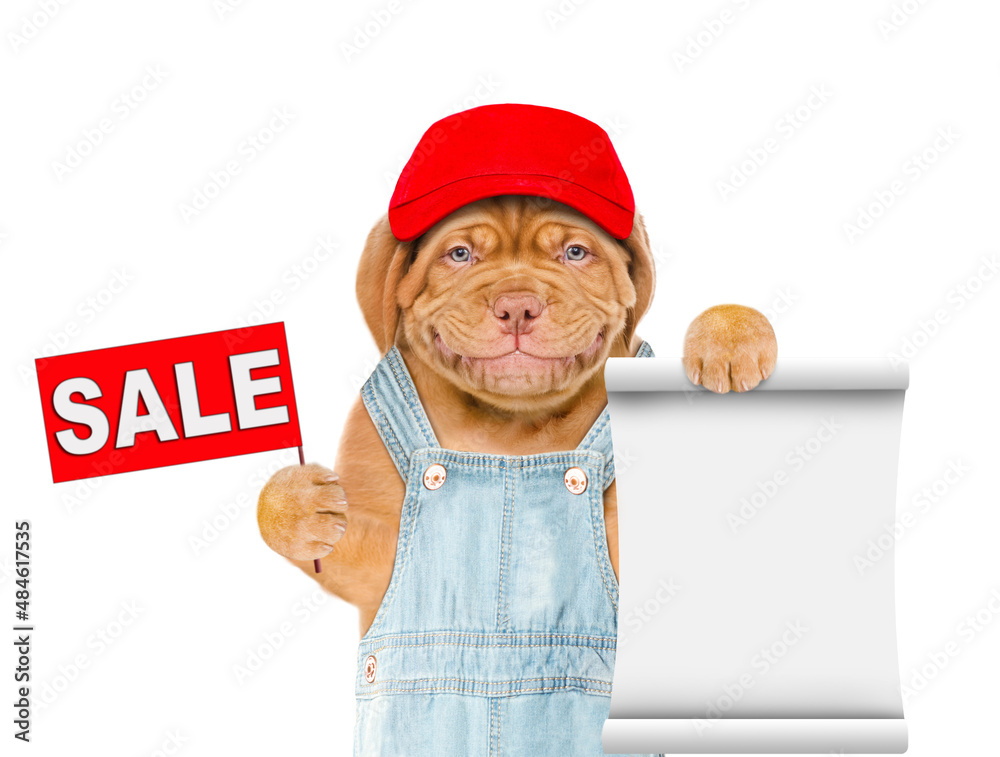 Aufkleber Puppy wearing  red cap and overalls shows empty list and sales symbol. Isolated on white background