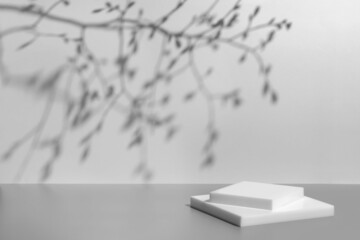 Abstract minimal nature scene - empty stage and white square podium on gray background and soft...