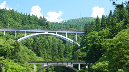 車、電車の通る複数の橋。日本の橋。