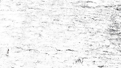 Black and white tree bark texture background