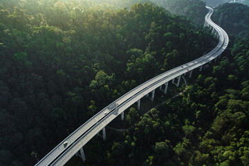 aerial shot of  car using elevated highway road across a green forest in the morning with mist - Powered by Adobe