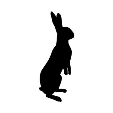 Silhouette rabbit on white background. Pets, farm and wildlife animals collection. Icon vector illustration.