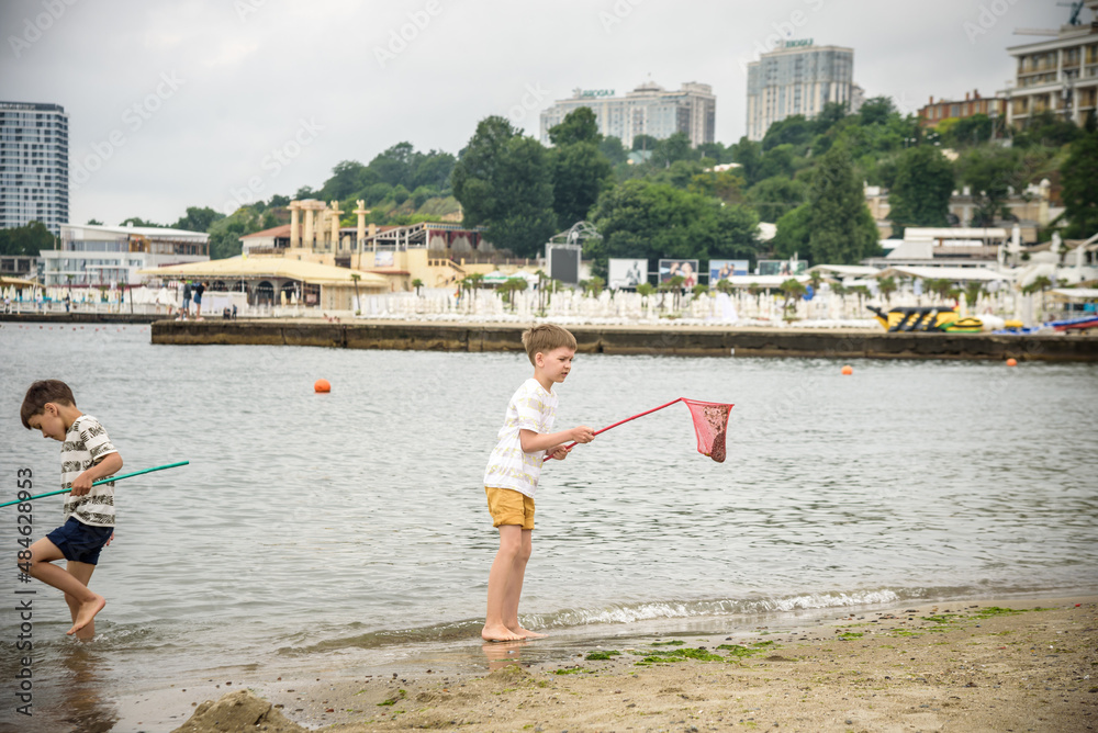 Wall mural Two sibling little brother boy exploring the beach at low tide w