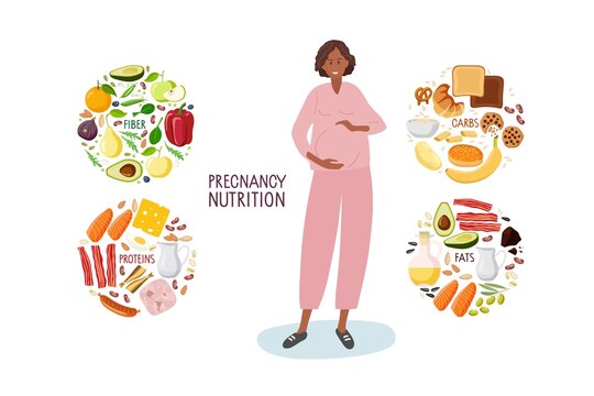 Good nutrition during pregnancy. Healthy food for pregnant woman. Choose foods that are body useful. Food by group, fiber, carbs, fats, proteins. Products for good pregnancy infographic in flat style.