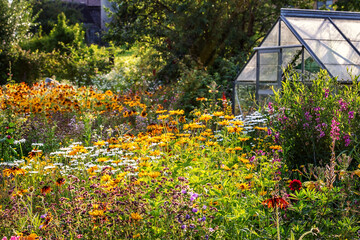 Blumengarten im Sonnenschein mit Gewächshaus, Flowering Garden and a Greenhouse - 484630383