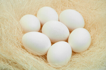 chicken eggs in the nest. agriculture concept.