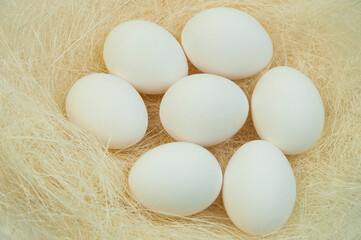chicken eggs in the nest. agriculture concept.