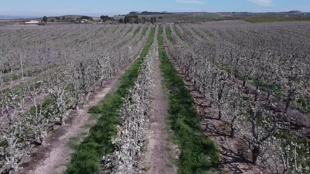 Embalse de Utxesa-Segri&aacute; Torres de Segre en la provincia de L&eacute;rida Spain