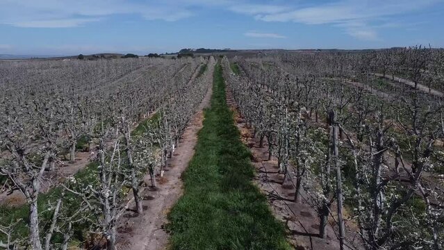 Embalse de Utxesa-Segri&aacute; Torres de Segre en la provincia de L&eacute;rida Spain