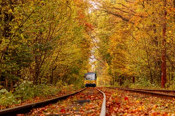 Deurstickers Autumn forest through which an old tram rides (Ukraine) © Minakryn Ruslan 
