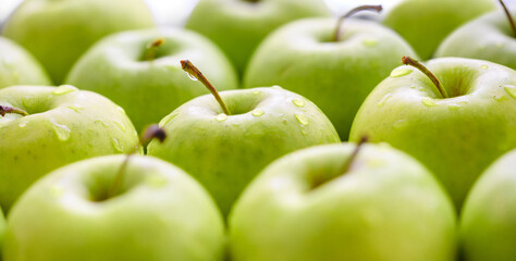 Green apples with water drops background. Closeup