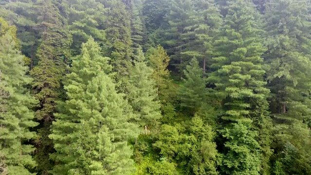 Arial shot of hill station in Murree Pakistan 