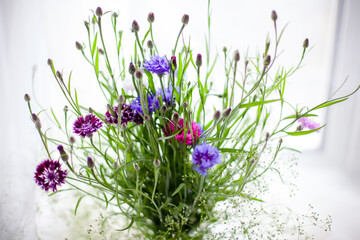 Obraz premium Bouquet of wildflowers made of blue and pink cornflowers .