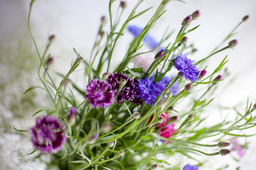 Bouquet of cornflowers on light backdrop