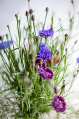 Bouquet of wildflowers made of blue and pink cornflowers .
