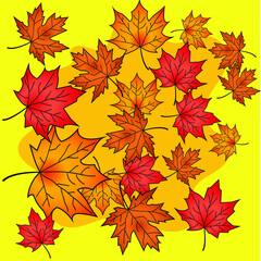 Autumn Leaves Vector Pack